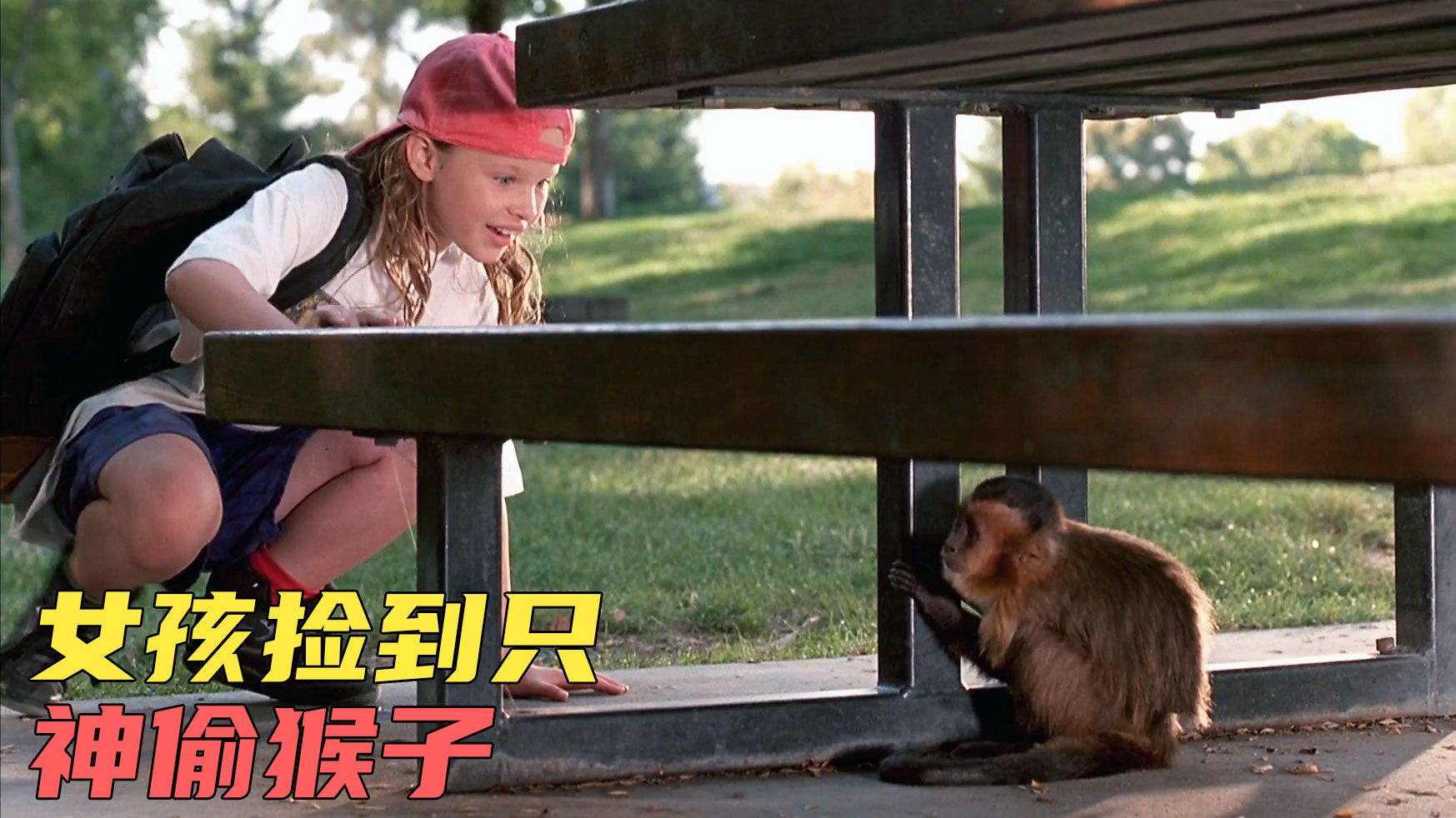 小女孩意外捡到一只小猴子，没想到小猴子竟然是个神偷