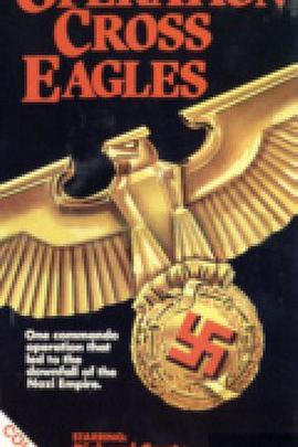 十字鹰行动 Operation Cross Eagles